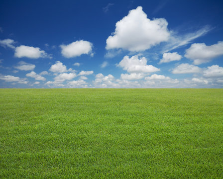 Green lawn with blue sky and clouds