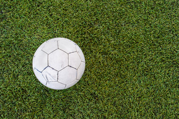 Soccer ball on grass field