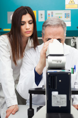 Naklejka premium Researchers at work