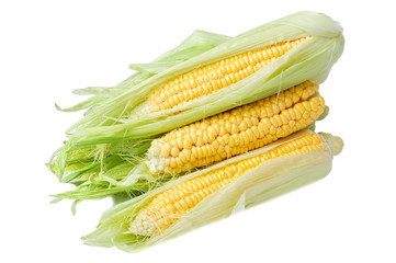 Fresh corn with green leaves  on white background