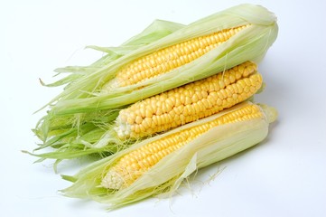 Fresh corn in white