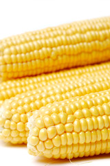 Fresh maize isolated on white