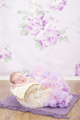 Obraz na płótnie Canvas Newborn kleines Mädchen in einem Häkelkorb pink