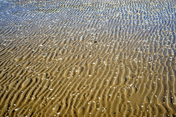 Fototapeta premium Spuren am Strand