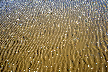Spuren am Strand