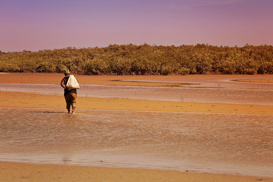r&eacute;serve naturelle de la Somone (S&eacute;n&eacute;gal)