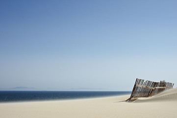 Bolonia_Playa_1