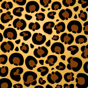 Jaguar Fur Pattern