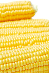 Fresh corn closeup
