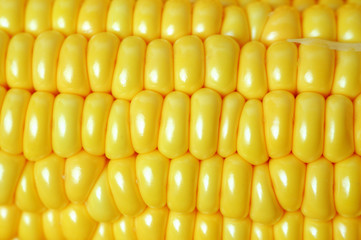 Maize closeup