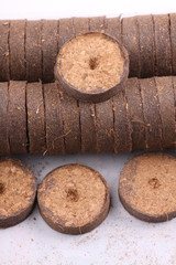 coconut tablets for growing