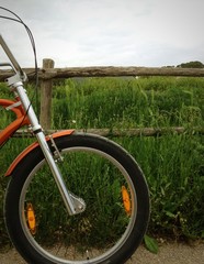Fototapeta na wymiar Bicicletta in campagna