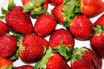 frische erdbeeren