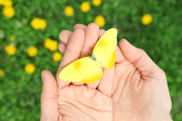 Beautiful butterfly on hands, outdoors