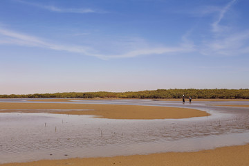 réserve naturelle de la Somone (Sénégal)
