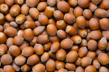 Hazelnuts