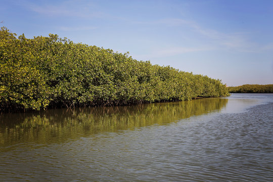 r&eacute;serve naturelle de la Somone (S&eacute;n&eacute;gal)