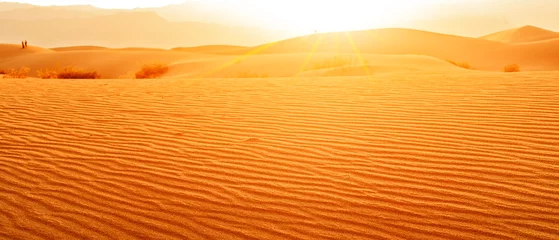 Foto auf Acrylglas Sandige Wüste Sonnenuntergang in der Wüste