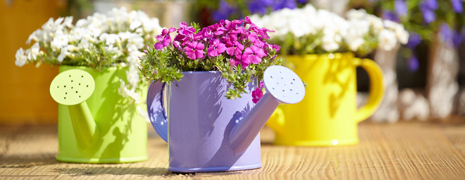 Outdoor Gardening Tools And Flowers On Old Wood Table