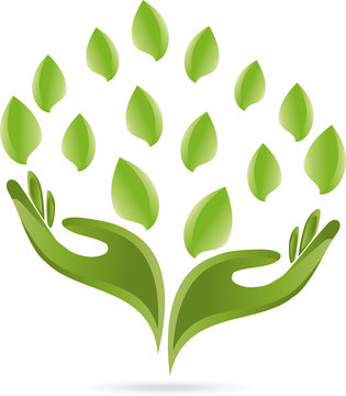 Logo, Hände, Blätter, Heilpraktiker