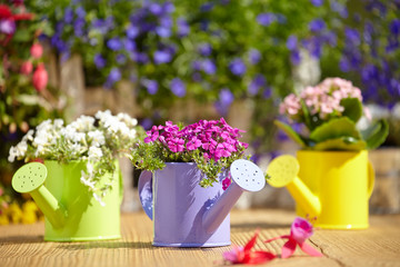 Outdoor gardening tools and flowers on old wood table