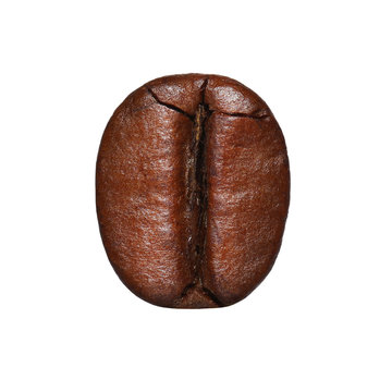 Coffee Bean isolated. Macro