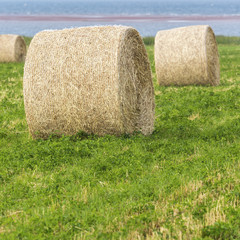 Hay Bales
