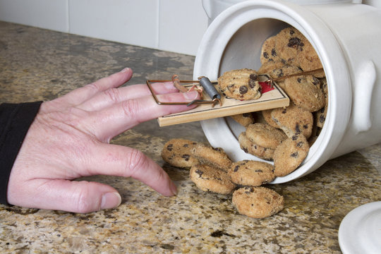 Mousetrap in Cookie Jar Stock Photo | Adobe Stock