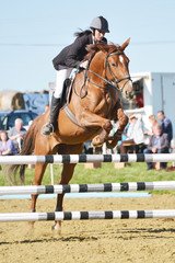 show jumping