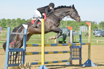 show jumping