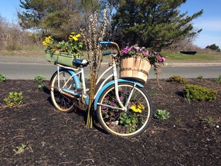 Fototapeta na wymiar Bike flower pots in the garden