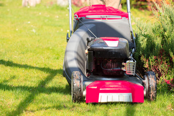 Obraz premium Gardening. Mowing green lawn with red lawnmower