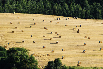 bales of hey on harvested agriculture field