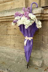 Beautiful lilac flowers in umbrella on old wall background