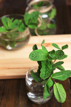 Mint in glass jar on wooden background