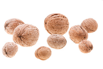 Walnut on white background. Close-up view.