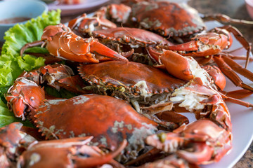 Hot steamed red crab prepare to eat on a plate