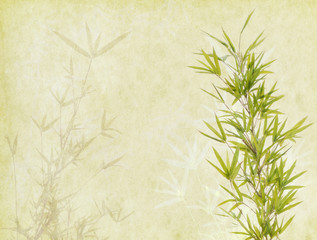 bamboo on old grunge paper texture background