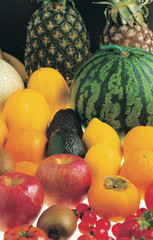 알록달록 과일들