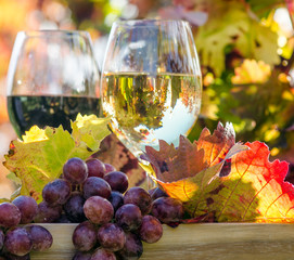 Den Herbst genießen: Weinprobe im Wingert :)