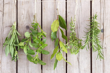 herbs bunches on old wooden wall