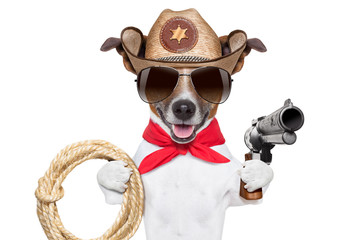 cowboy dog