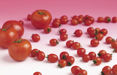 신선한 비타민 채소