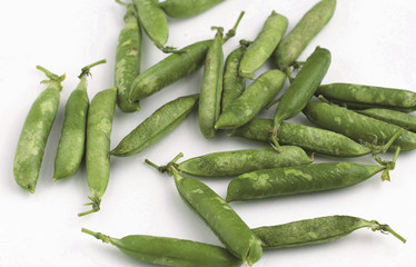 신선한 비타민 채소