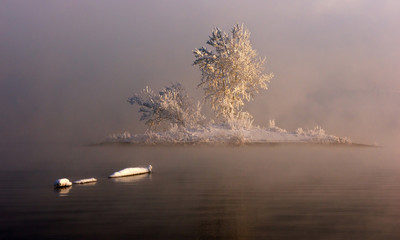 an island in the fog