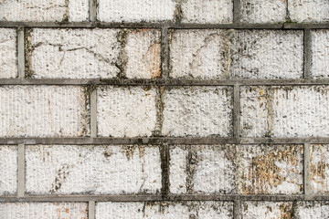 Rock Wall Horizontal Shot
