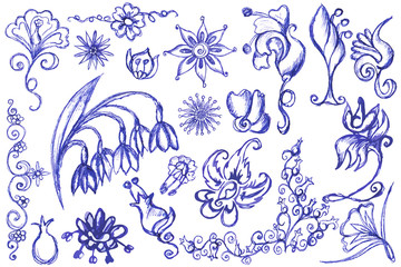 Drawing of flowers a blue pen.