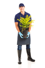 gardener holding a plant