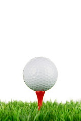 nahaufnahme, golfball auf dem tee