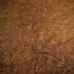 Brown Leather Texture